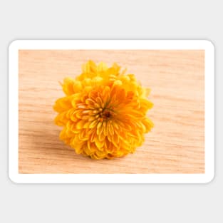 One yellow flower Sticker